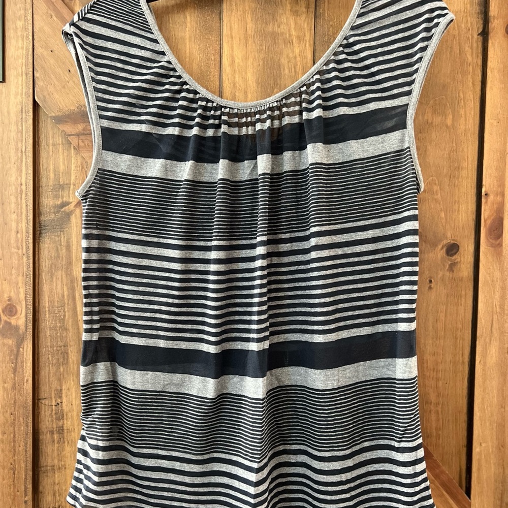 Ann Taylor sheer top